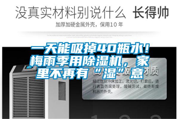 一天能吸掉40瓶水！梅雨季用除濕機(jī)，家里不再有“濕”意