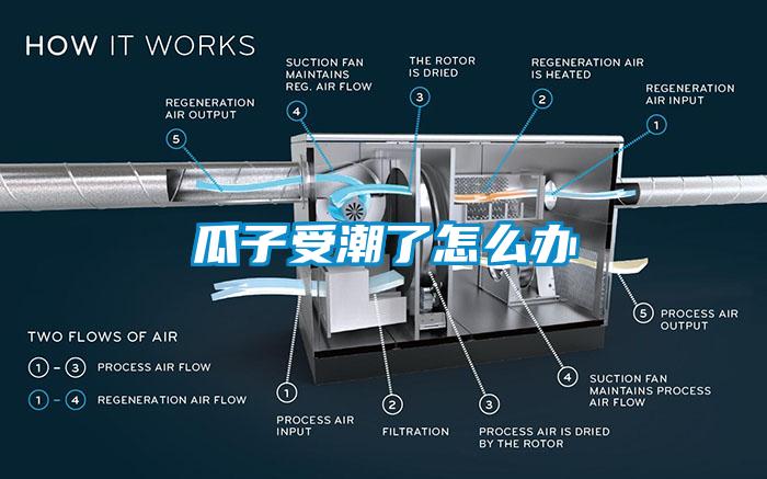 瓜子受潮了怎么辦