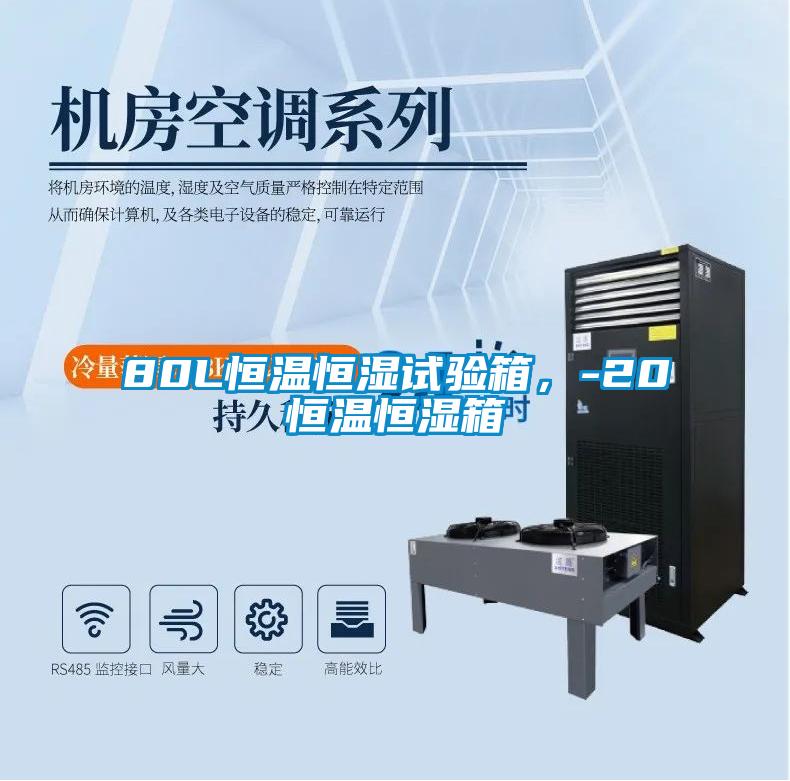 80L恒溫恒濕試驗箱，-20℃恒溫恒濕箱
