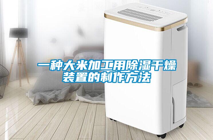 一種大米加工用除濕干燥裝置的制作方法