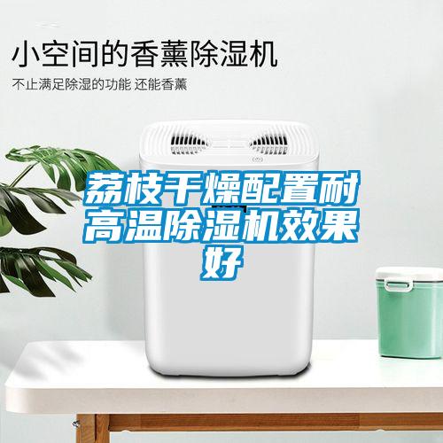 荔枝干燥配置耐高溫除濕機效果好