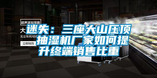 迷失：三座大山壓頂 抽濕機(jī)廠家如何提升終端銷售比重