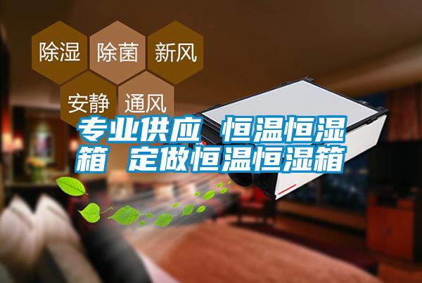 專業供應 恒溫恒濕箱 定做恒溫恒濕箱
