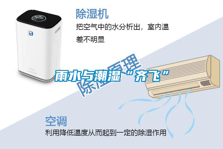 雨水與潮濕“齊飛”