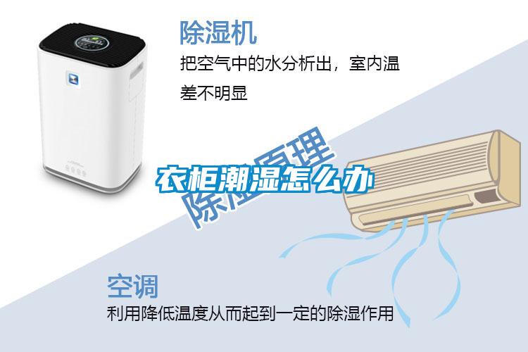 衣柜潮濕怎么辦