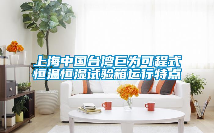 上海中國臺灣巨為可程式恒溫恒濕試驗箱運行特點