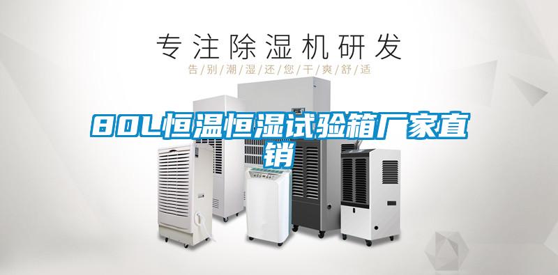 80L恒溫恒濕試驗(yàn)箱廠家直銷