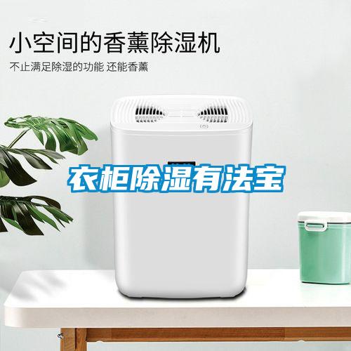 衣柜除濕有法寶