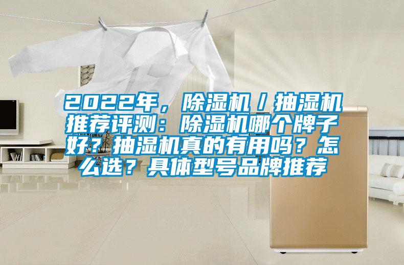 2022年，除濕機／抽濕機推薦評測：除濕機哪個牌子好？抽濕機真的有用嗎？怎么選？具體型號品牌推薦