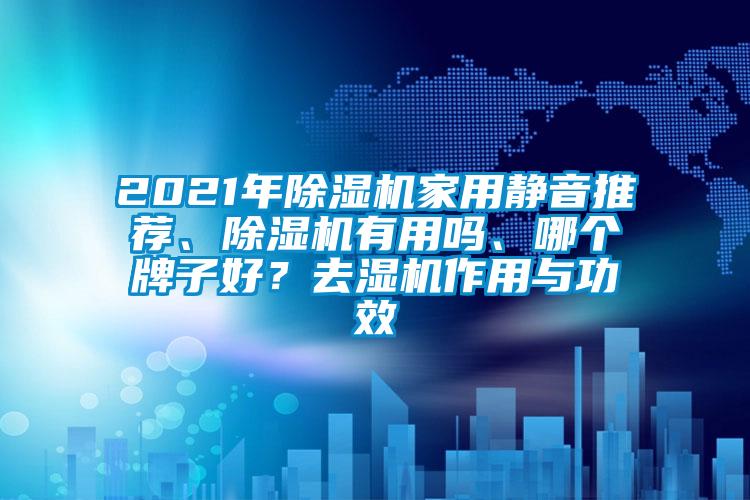 2021年除濕機(jī)家用靜音推薦、除濕機(jī)有用嗎、哪個(gè)牌子好？去濕機(jī)作用與功效
