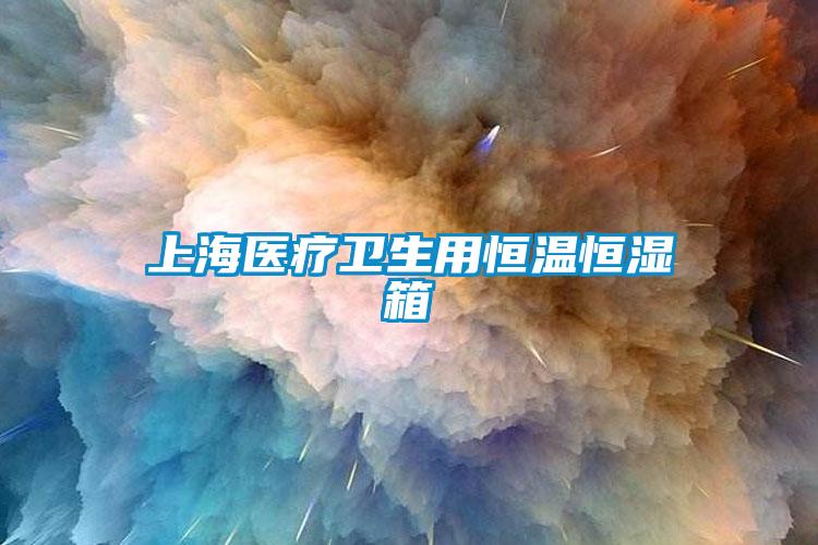 上海醫療衛生用恒溫恒濕箱