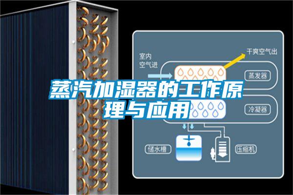 蒸汽加濕器的工作原理與應用