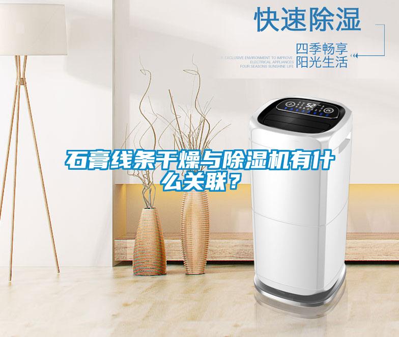 石膏線條干燥與除濕機有什么關聯？