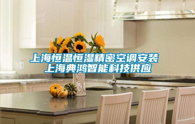 上海恒溫恒濕精密空調安裝 上海典鴻智能科技供應