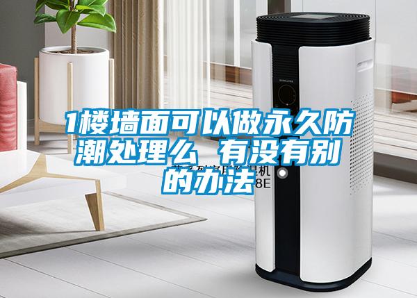 1樓墻面可以做永久防潮處理么 有沒有別的辦法