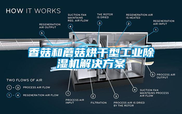 香菇和蘑菇烘干型工業除濕機解決方案