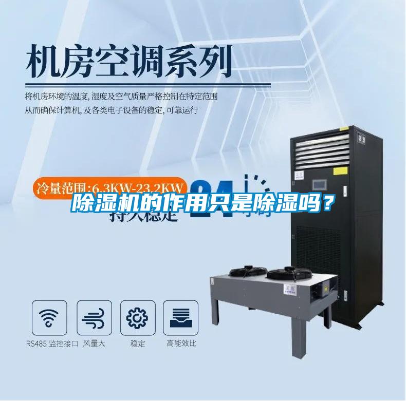 除濕機的作用只是除濕嗎？