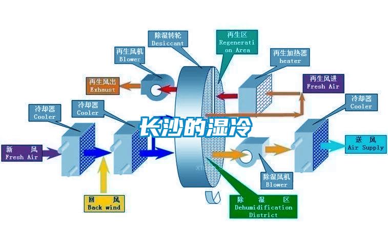 長沙的濕冷