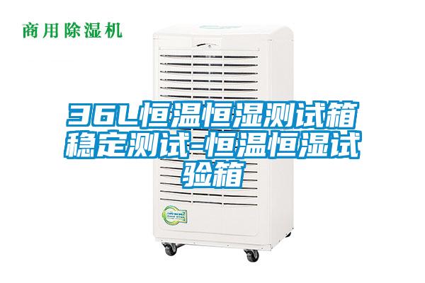 36L恒溫恒濕測(cè)試箱穩(wěn)定測(cè)試-恒溫恒濕試驗(yàn)箱
