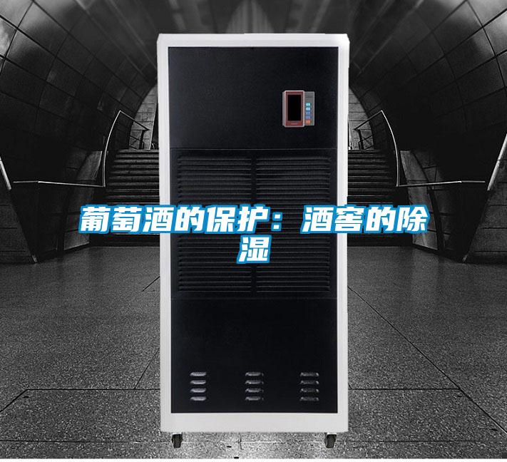 葡萄酒的保護：酒窖的除濕
