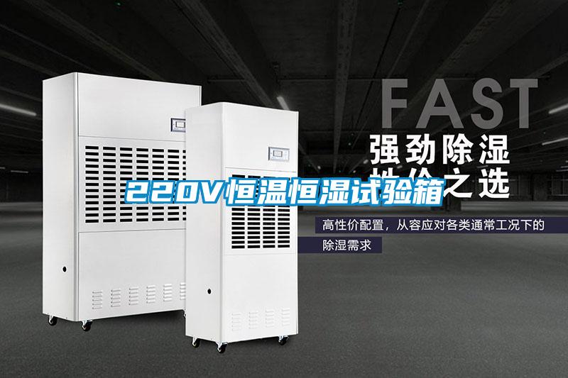 220V恒溫恒濕試驗(yàn)箱