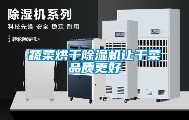 蔬菜烘干除濕機讓干菜品質更好