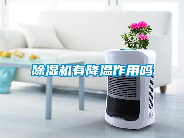 除濕機(jī)有降溫作用嗎