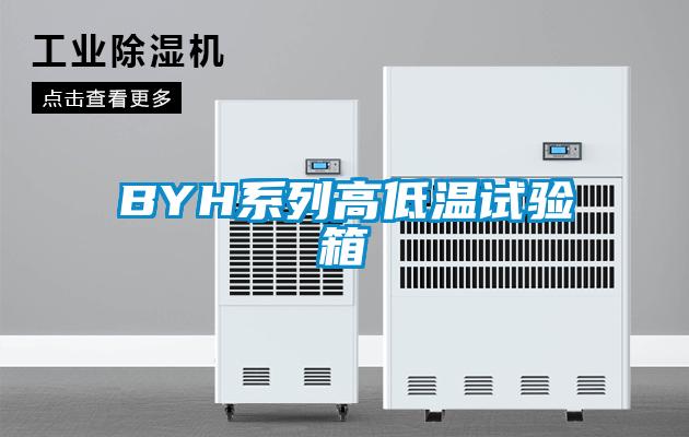 BYH系列高低溫試驗箱