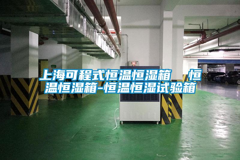 上海可程式恒溫恒濕箱  恒溫恒濕箱-恒溫恒濕試驗箱