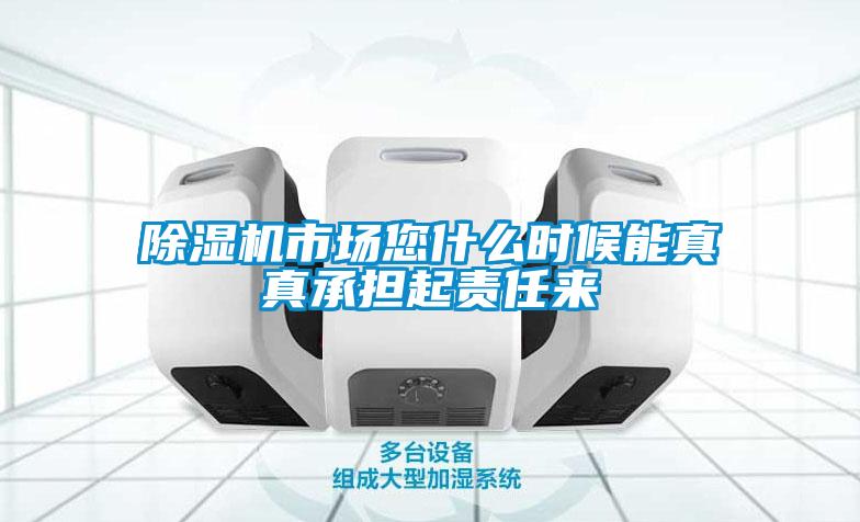 除濕機市場您什么時候能真真承擔起責任來