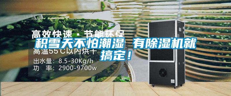 積雪天不怕潮濕 有除濕機就搞定！