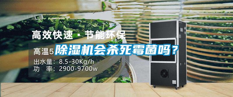 除濕機會殺死霉菌嗎？
