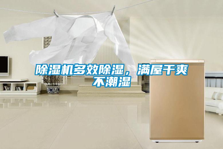 除濕機(jī)多效除濕，滿屋干爽不潮濕