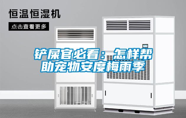 鏟屎官必看：怎樣幫助寵物安度梅雨季