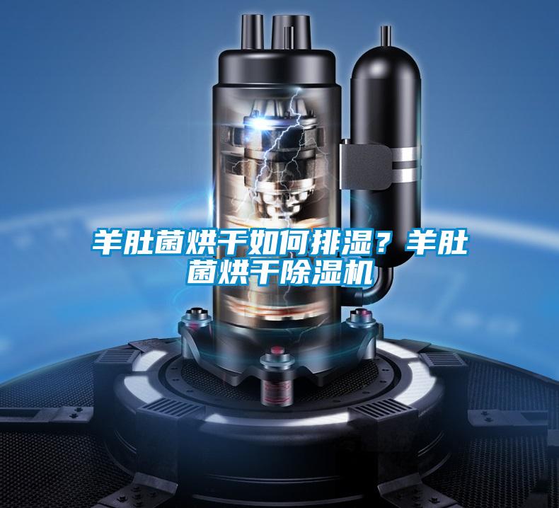 羊肚菌烘干如何排濕？羊肚菌烘干除濕機