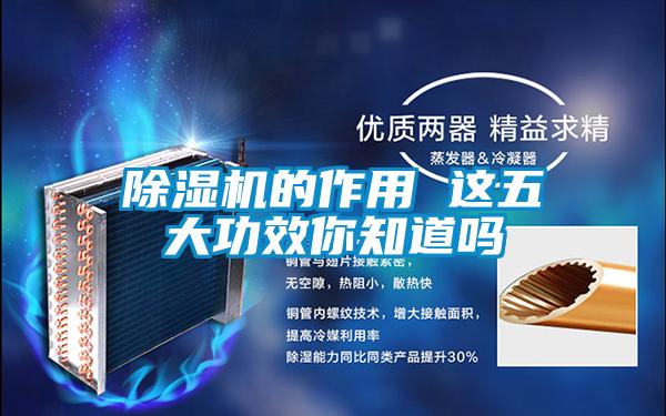 除濕機的作用 這五大功效你知道嗎