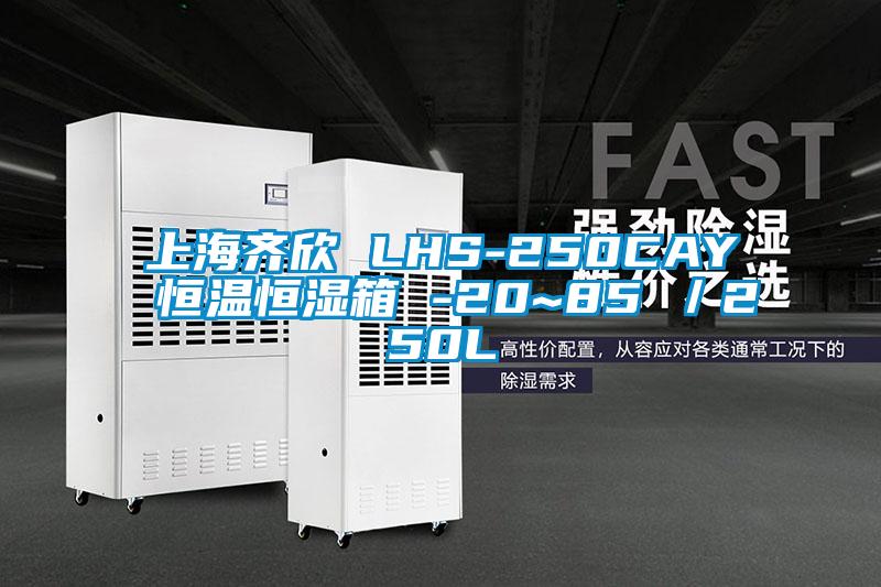 上海齊欣 LHS-250CAY 恒溫恒濕箱 -20~85℃／250L