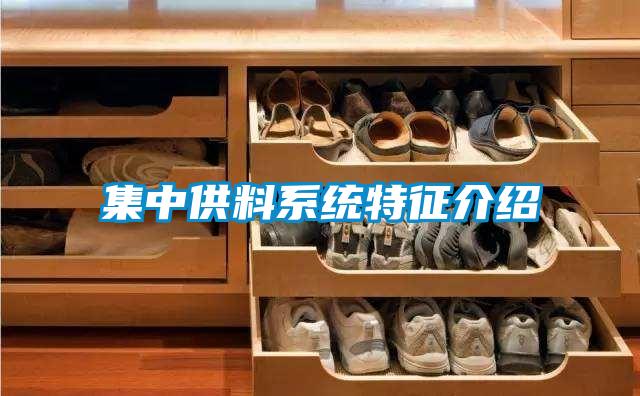 集中供料系統(tǒng)特征介紹