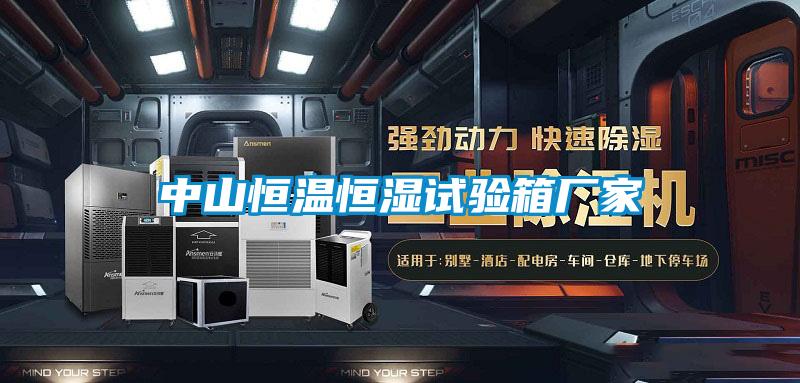 中山恒溫恒濕試驗(yàn)箱廠家