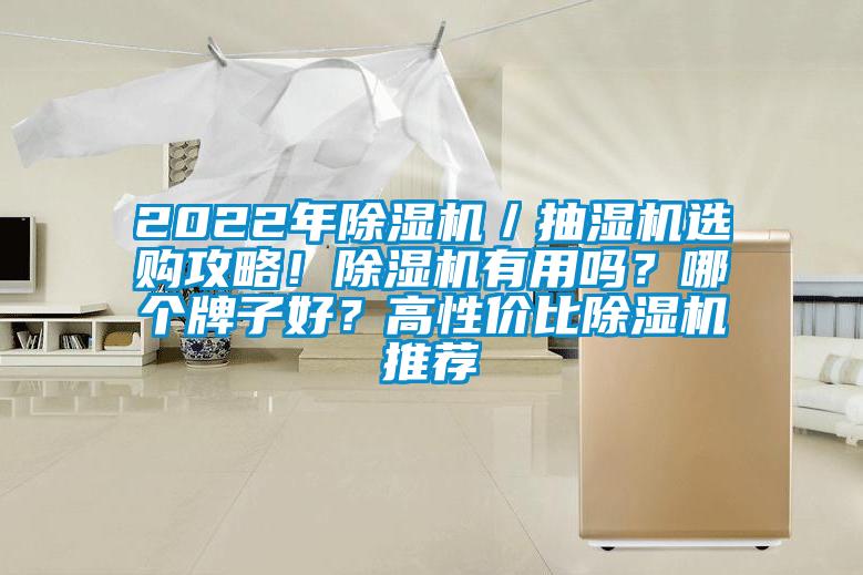 2022年除濕機／抽濕機選購攻略！除濕機有用嗎？哪個牌子好？高性價比除濕機推薦