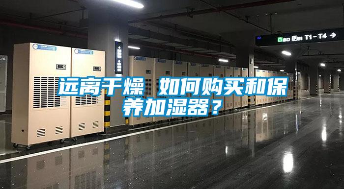 遠離干燥 如何購買和保養加濕器？