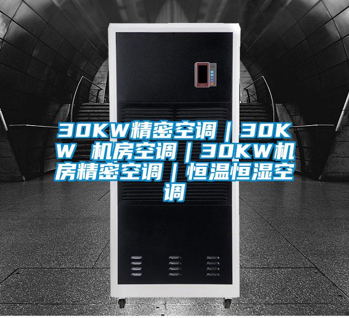30KW精密空調(diào)｜30KW 機(jī)房空調(diào)｜30KW機(jī)房精密空調(diào)｜恒溫恒濕空調(diào)