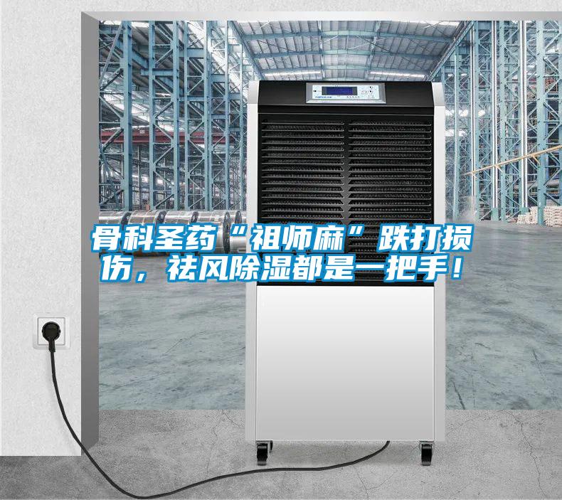 骨科圣藥“祖師麻”跌打損傷，祛風(fēng)除濕都是一把手！