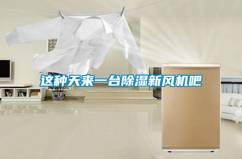 這種天來一臺除濕新風機吧