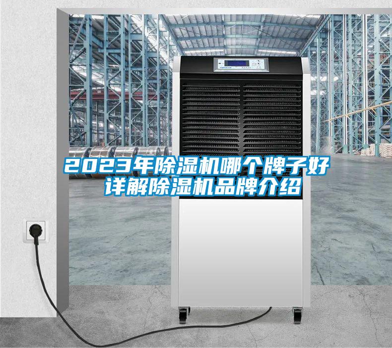 2023年除濕機哪個牌子好 詳解除濕機品牌介紹