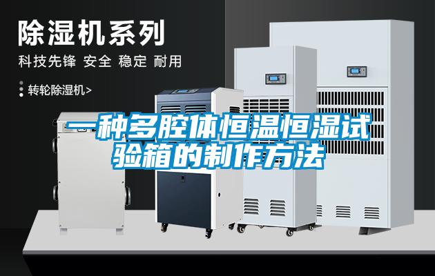 一種多腔體恒溫恒濕試驗箱的制作方法