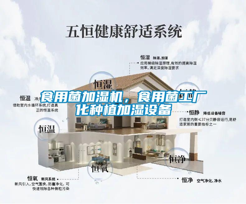 食用菌加濕機(jī)，食用菌工廠化種植加濕設(shè)備