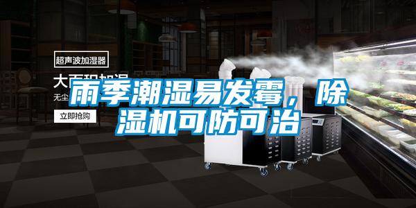雨季潮濕易發霉，除濕機可防可治
