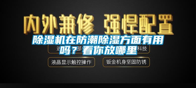 除濕機在防潮除濕方面有用嗎？看你放哪里