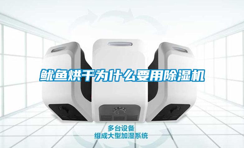 魷魚烘干為什么要用除濕機